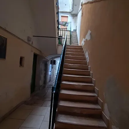 House In Historic Style Palace *