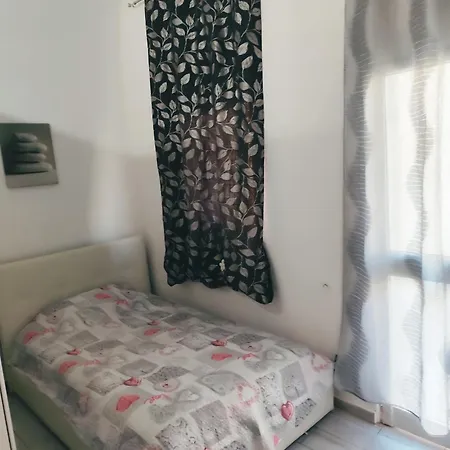 House In Historic Style Palace *